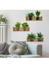 Raflı Bitki Tasarımlı Yapışkanlı Sticker 20*30 cm 3lü Set (5468)