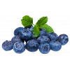 Taze Doğal Yaban Mersini (1000gr)