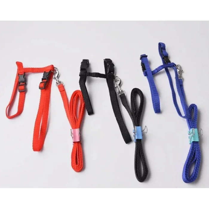 Ayarlanabilir Kedi Tasması 120 cm (4 Renk)