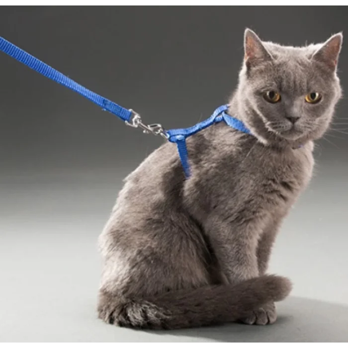 Ayarlanabilir Kedi Tasması 120 cm (4 Renk)