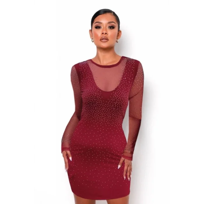 Kadın Uzun Kollu Yuvarlak Yaka Dekolteli Taşlı Dalgıç Elbise