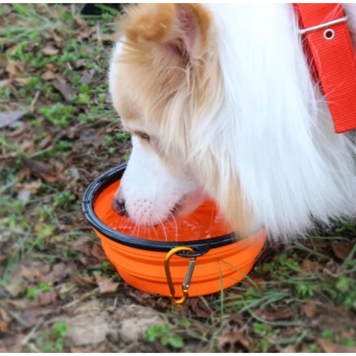 Katlanabilir Kedi Köpek Mama ve Su Kabı