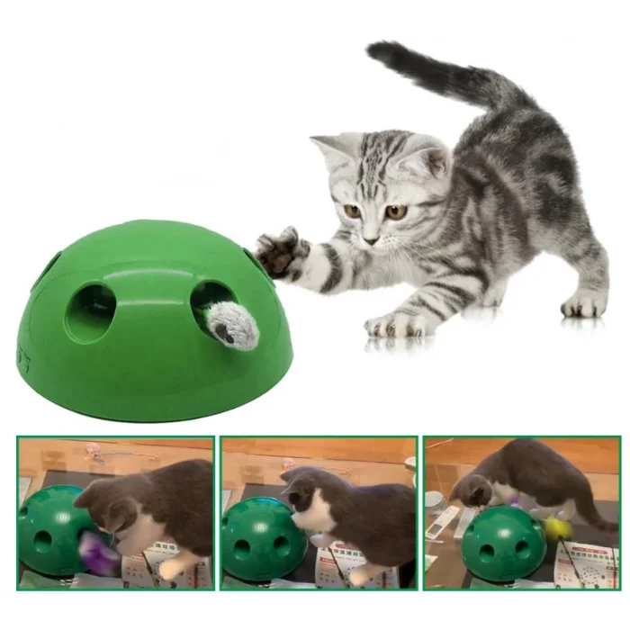 Kedi Fare Yakalama Oyuncağı 360 Hareketli
