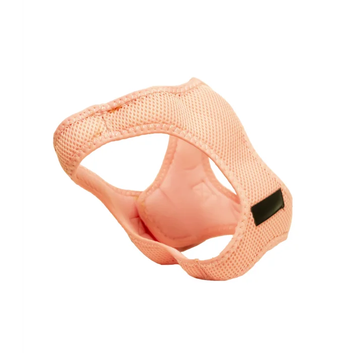 Kedi Köpek Göğüs ve Gezdirme Tasması, Pembe (L)