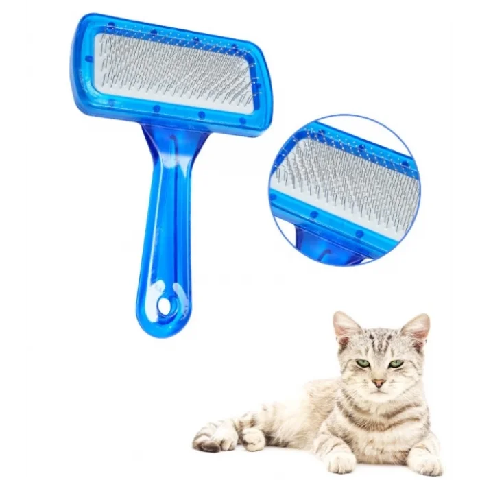 Şeffaf Evcil Hayvan Fırçası Telli 4 Renk