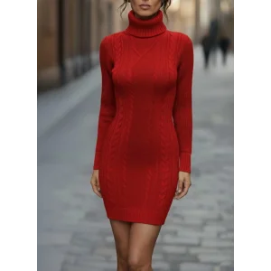 Kadın Uzun Kollu Balıkçı Yaka Kısa Triko Elbise