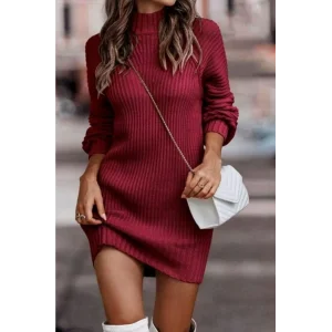 Kadın Uzun Kollu Balıkçı Yaka Mini Triko Elbise