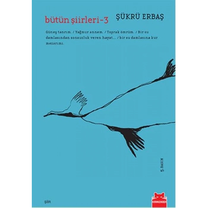 Bütün Şiirleri - 3