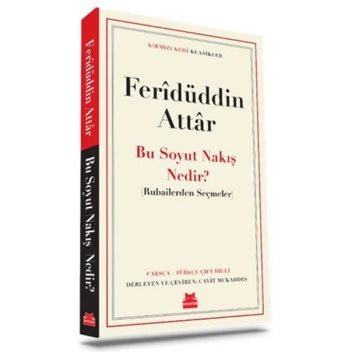 Bu Soyut Nakış Nedir?