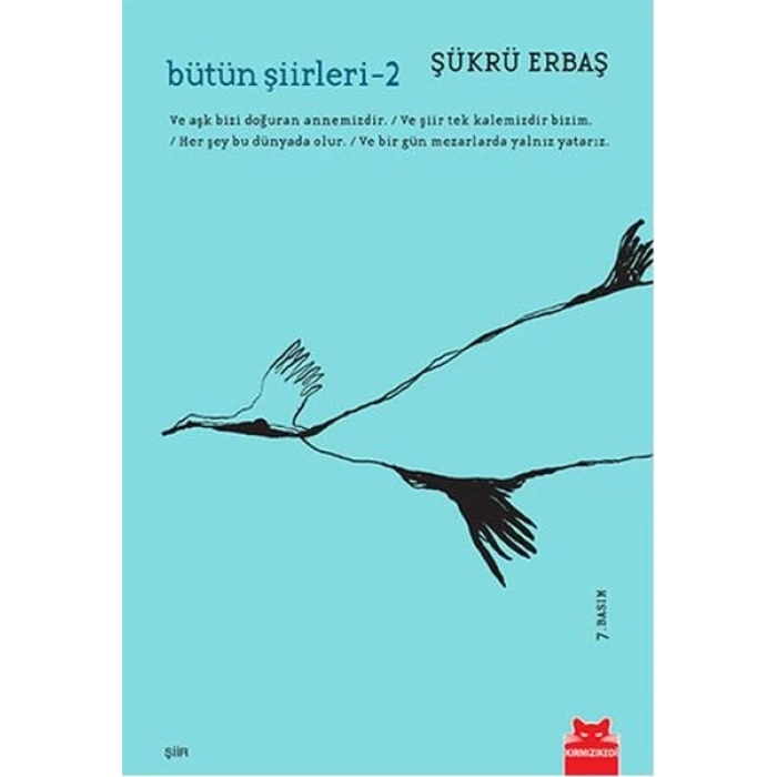 Bütün Şiirleri 2