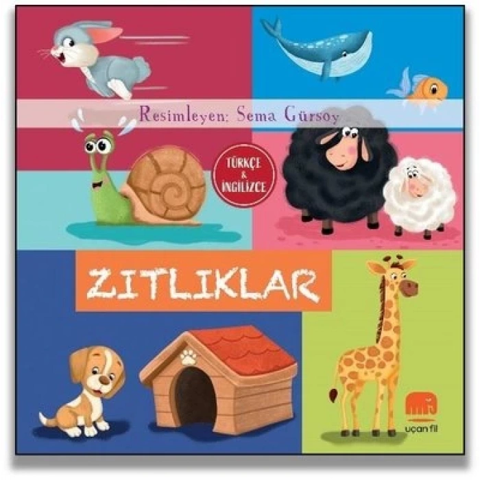 Zıtlıklar (Türkçe & İngilizce)