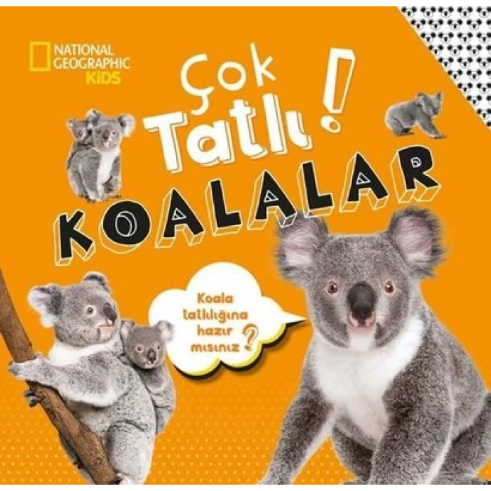 NG Kids Çok Tatlı Koalalar