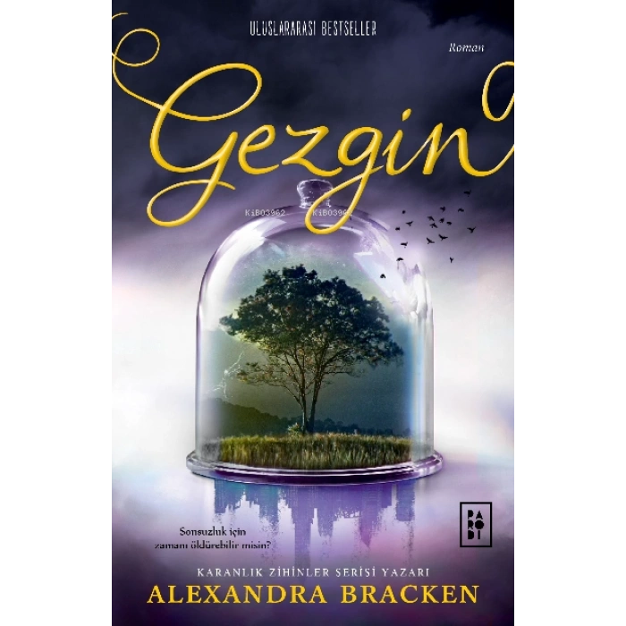 Yolcu Serisi 2. Kitap-Gezgin