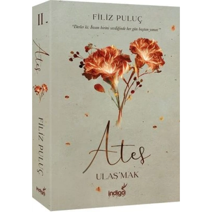 Ateş Ulaşmak- Karton Kapak