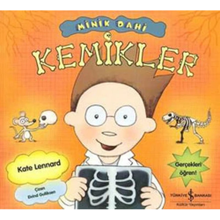 Minik Dahi / Kemikler