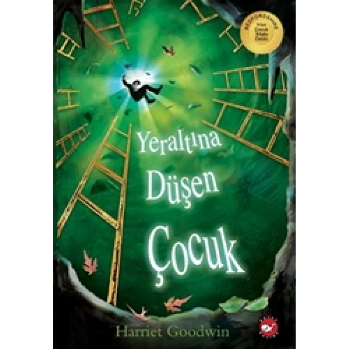 Yeraltına Düşen Çocuk