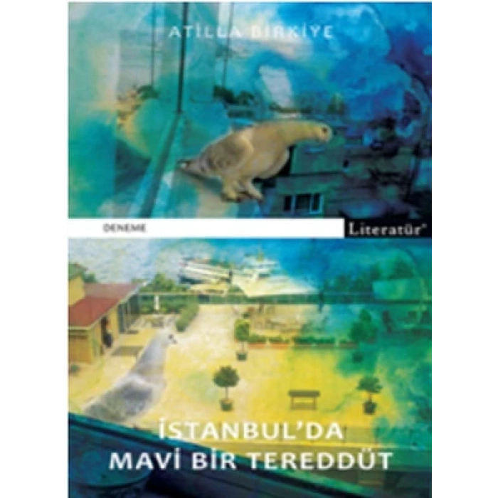 İstanbulda Mavi Bir Tereddüt