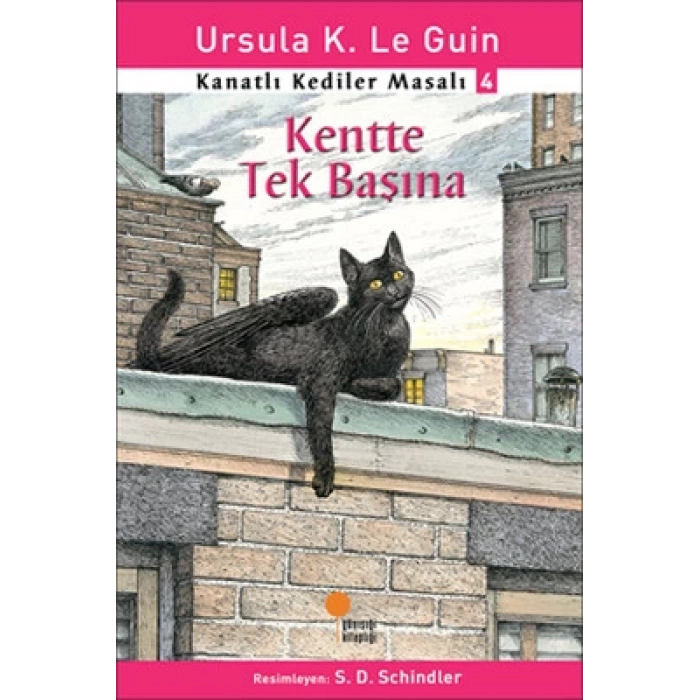 Kanatlı Kediler Masalı 4 - Kentte Tek Başına