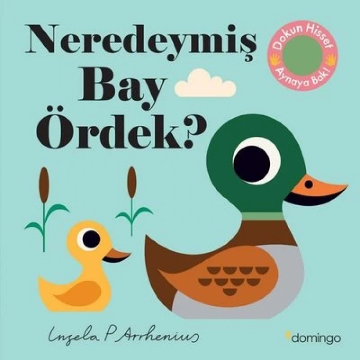 Neredeymiş Bay Ördek? (Dokun, Hisset, Aynaya Bak!)