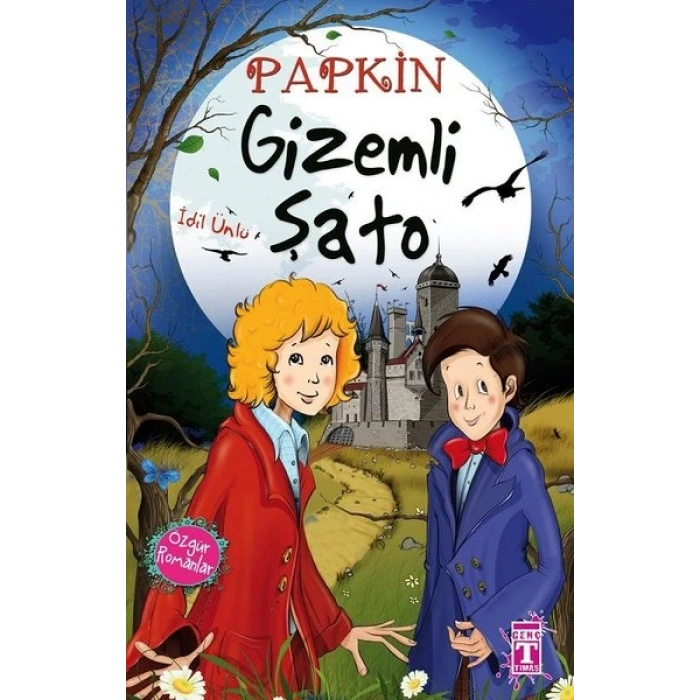 Papkin Gizemli Şato