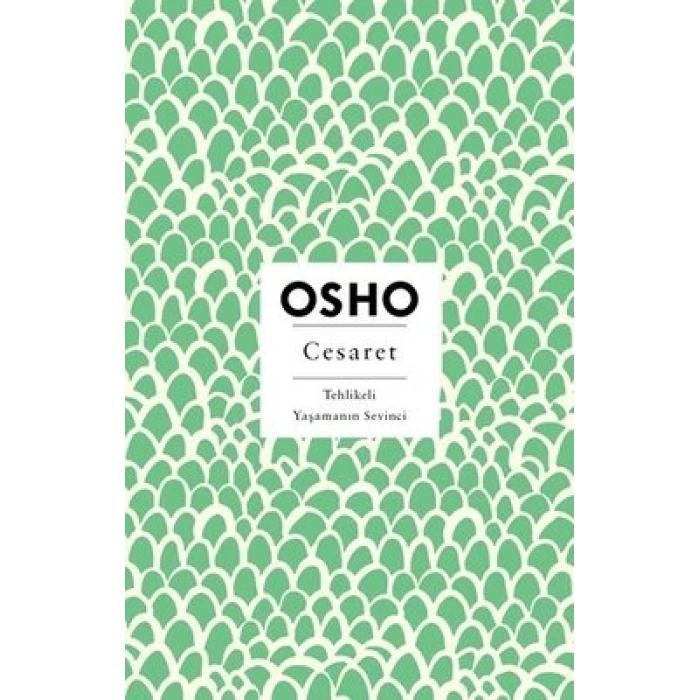 Cesaret - Tehlikeli Yaşamanın Sevinci