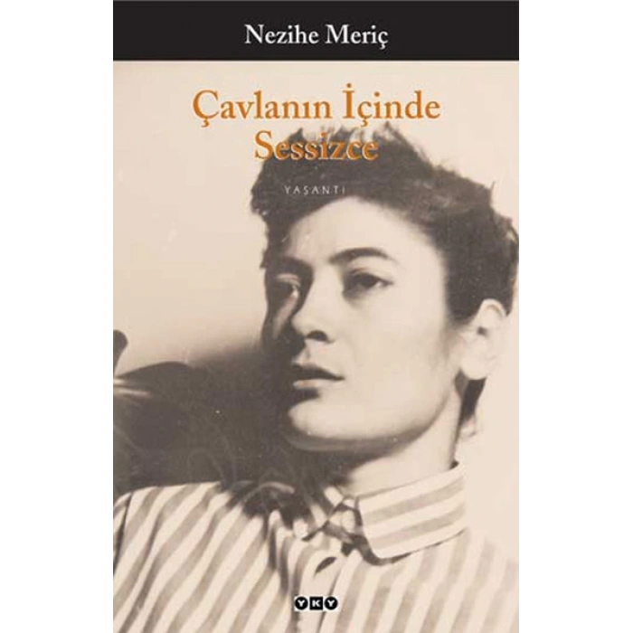 Çavlanın İçinde Sessizce