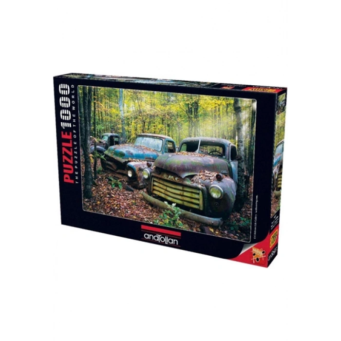 Geçmişin Kalıntıları 1000 Parça Puzzle