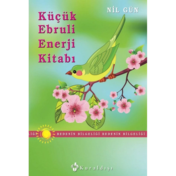 Küçük Ebruli Enerji Kitabı