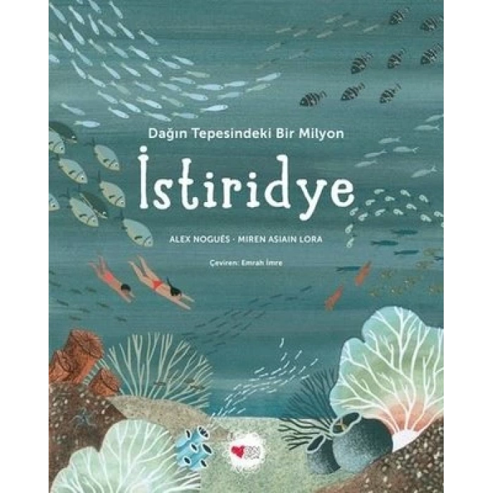 Dağin Tepesindeki Bir Milyon İstiridye