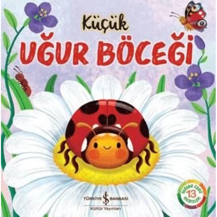 Küçük Uğur Böceği
