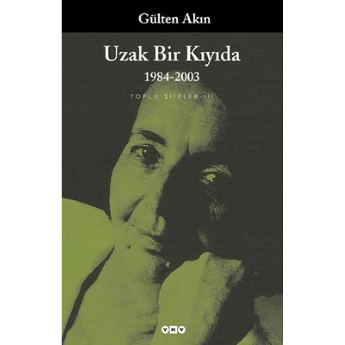 Uzak Bir Kıyıda 1984-2003