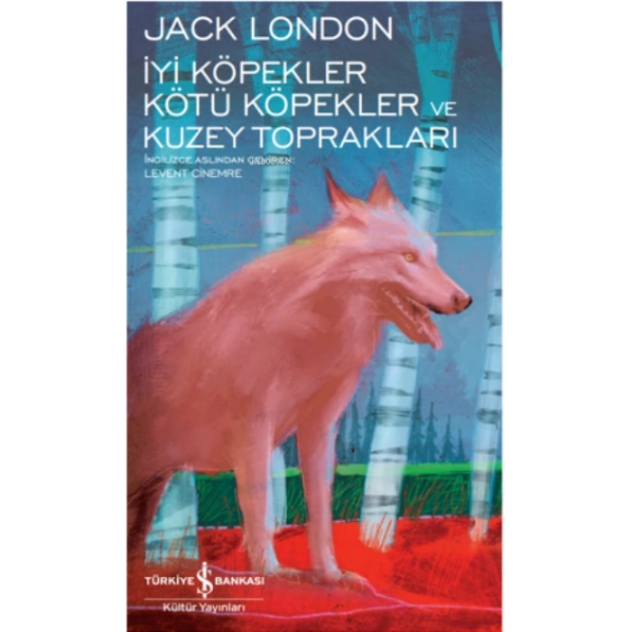 İyi Köpekler Kötü Köpekler ve Kuzey Toprakları