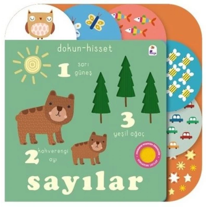 Dokun- Hisset - Sayılar