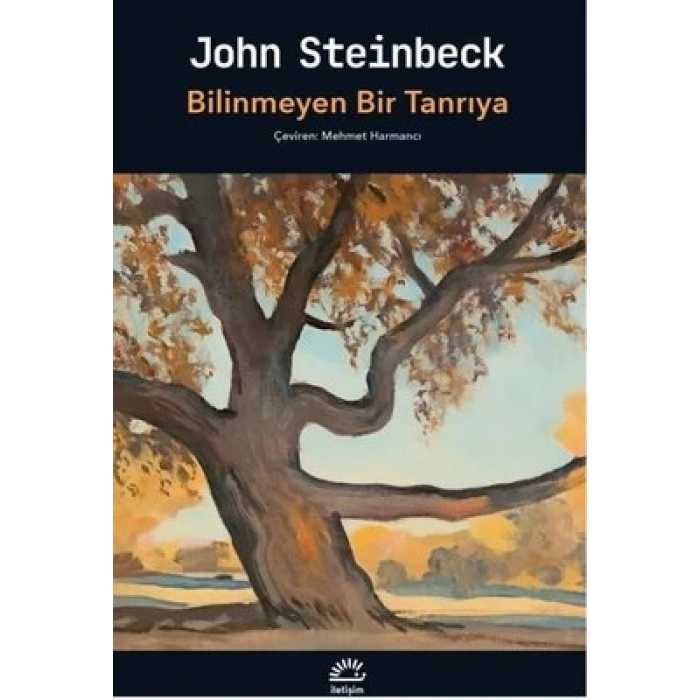 Bilinmeyen Bir Tanrıya