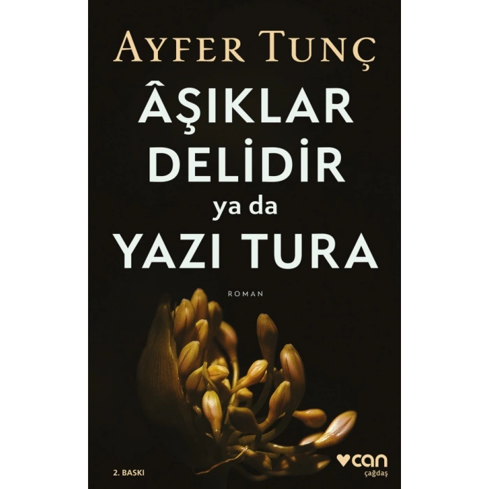 Aşıklar Delidir Ya Da Yazı Tura