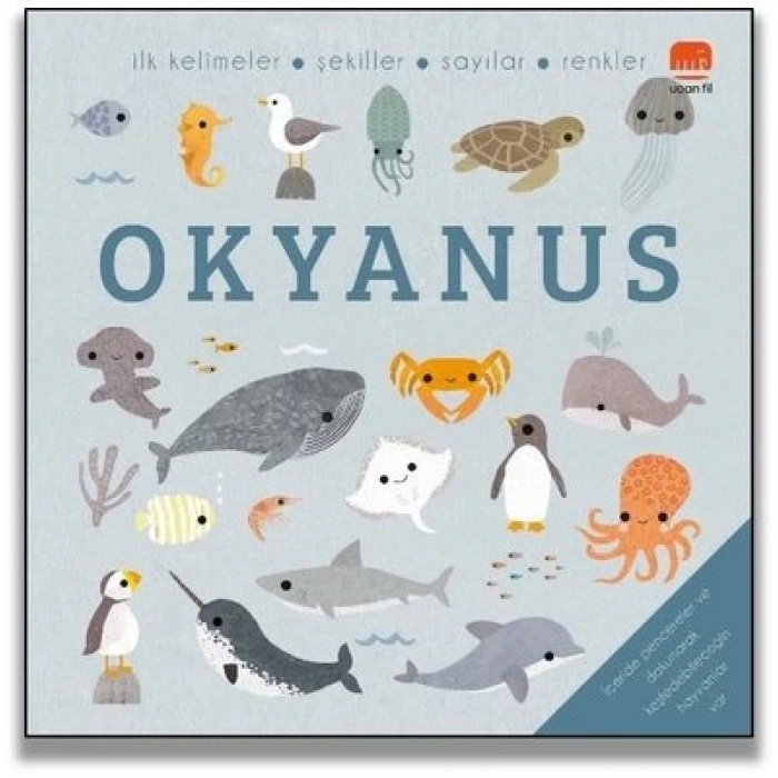 Okyanus - Say Bul Eğlen