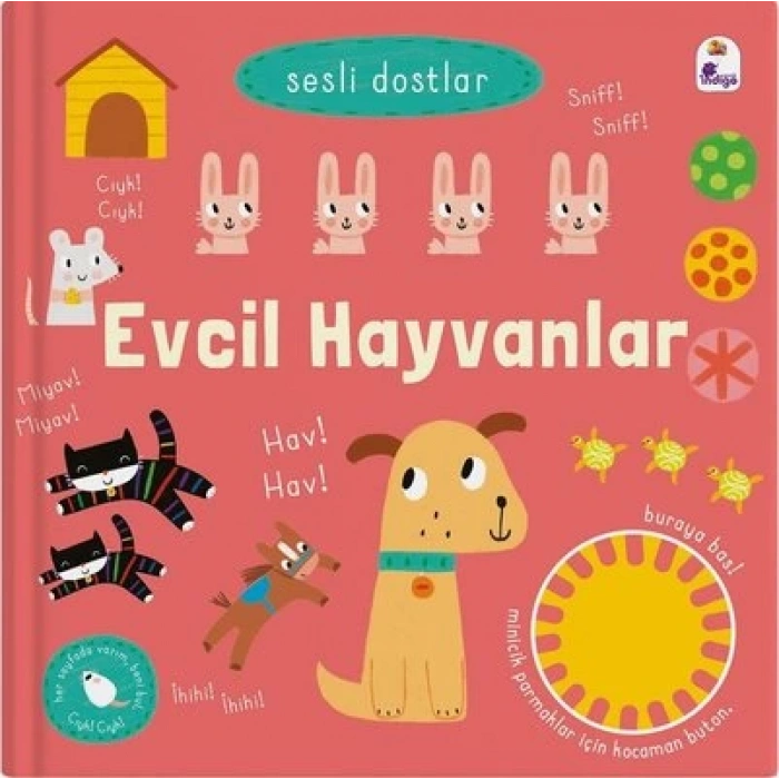 Sesli Dostlar – Evcil Hayvanlar (Sesli Kitap)