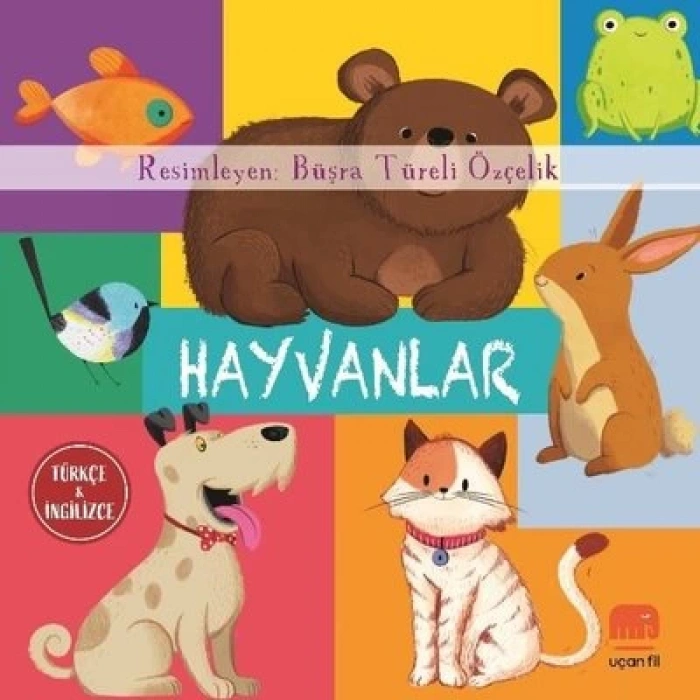 Hayvanlar (Board Book)