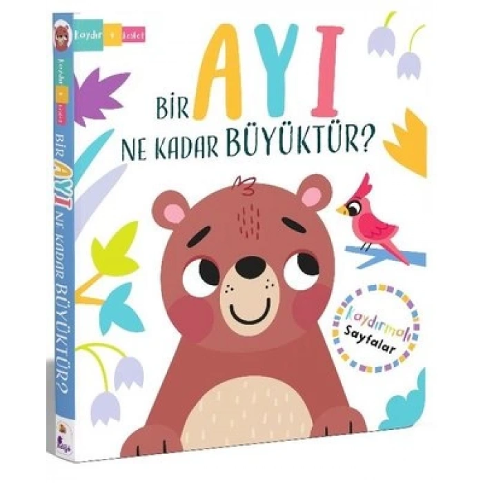 Bir Ayi Ne Kadar Büyüktür