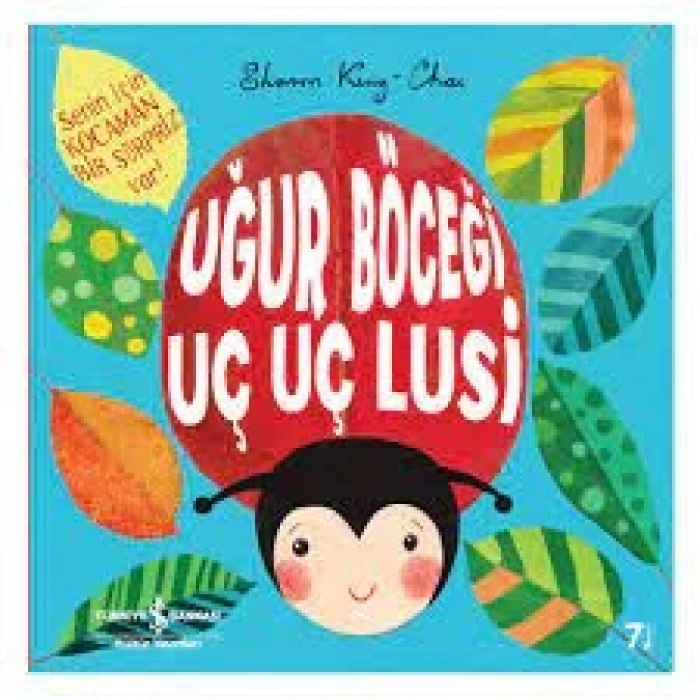 Uğur Böceği Uç Uç Lusi