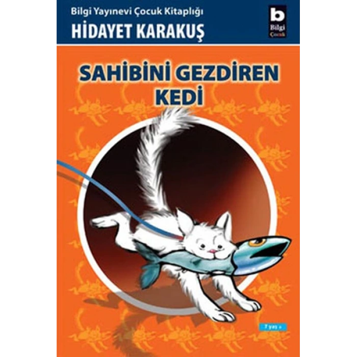 Sahibini Gezdiren Kedi