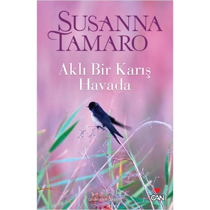 Aklı Bir Karış Havada