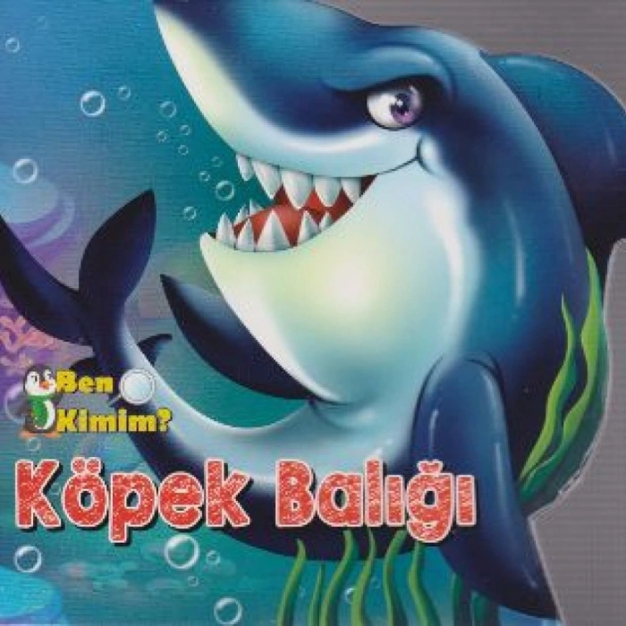 BEN KİMİM KÖPEK BALIĞI