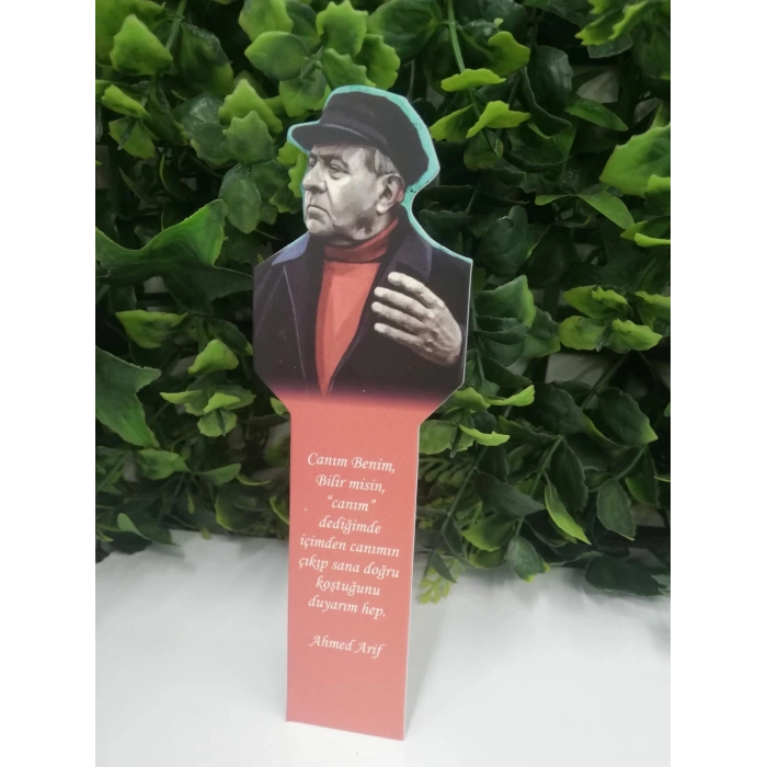 Ahmet Arif Ayraç-Fark