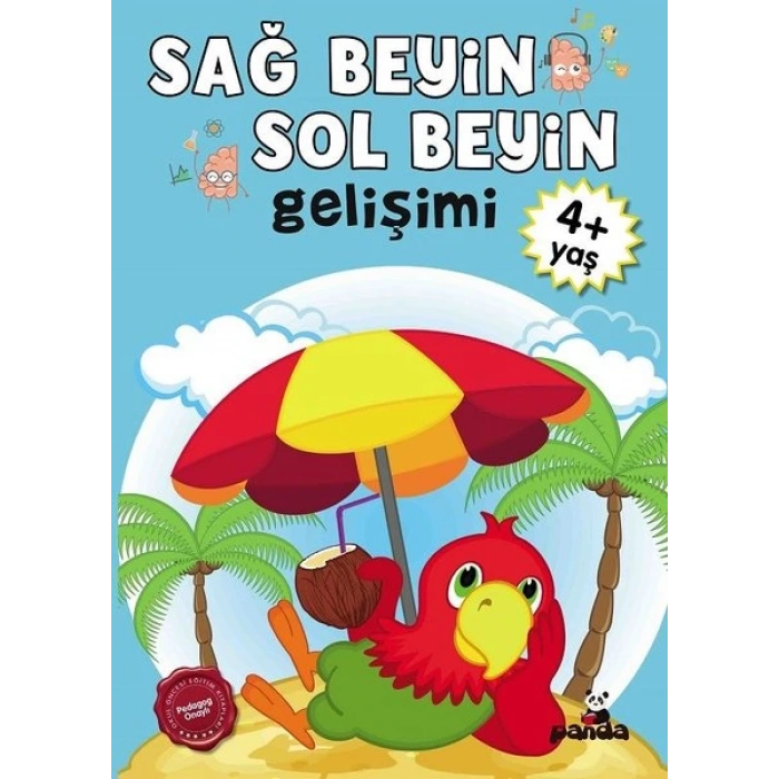 4 Yaş Sağ Beyin - Sol Beyin Gelişimi