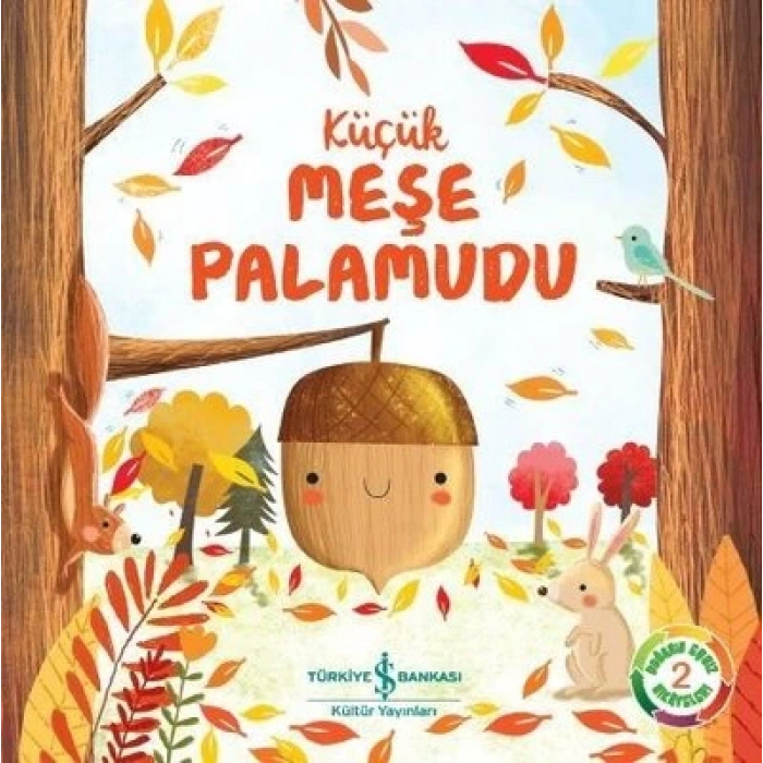 Küçük Meşe Palamudu