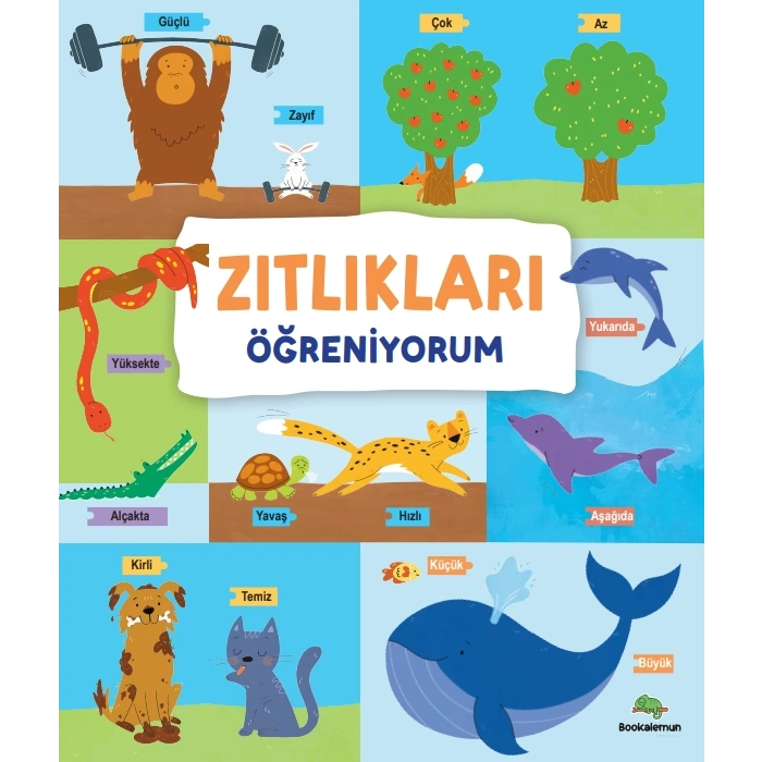 Zıtlıkları Öğreniyorum - Ciltli