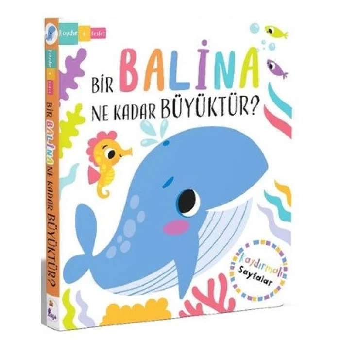 Bir Balina Ne Kadar Büyüktür