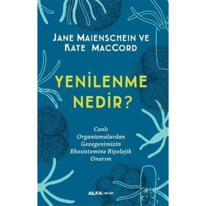 Yenilenme Nedir