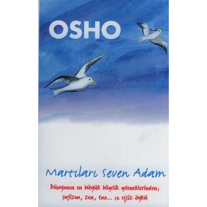 Martıları Seven Adam